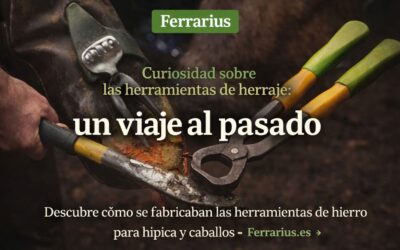 Curiosidades sobre las herramientas de herraje en la hípica